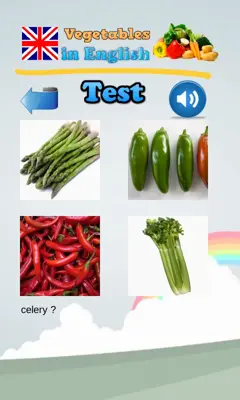 Vegetables in English Language android App screenshot 2